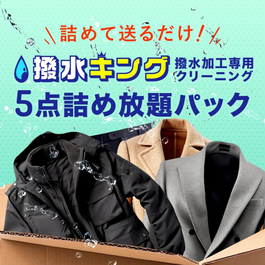 宅配\u0026保管クリーニング 撥水キング 5点セット 衣類 シミ抜き 撥水加工 保管最大10か月 送料無料 ミスター・ランドリーの画像