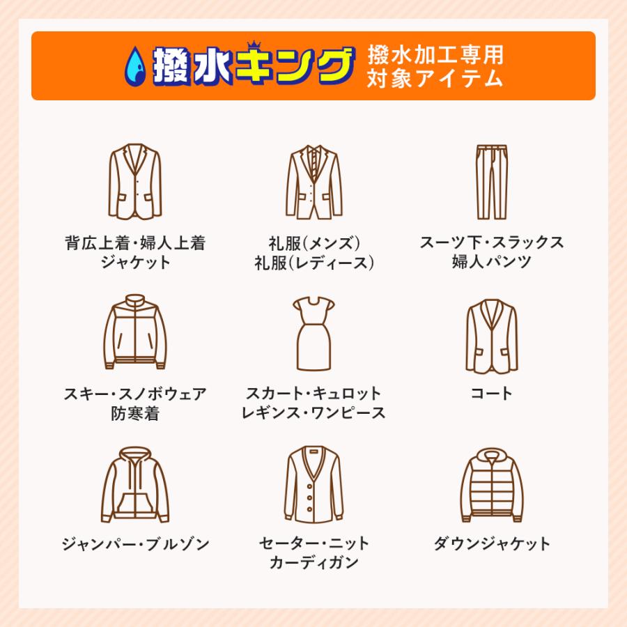 宅配\u0026保管クリーニング 撥水キング 5点セット 衣類 シミ抜き 撥水加工 保管最大10か月 送料無料 ミスター・ランドリーの画像