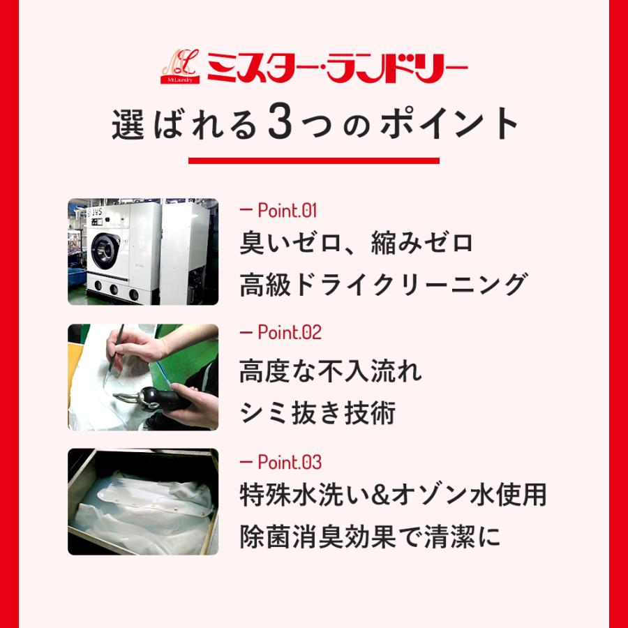 宅配\u0026保管クリーニング 撥水キング 5点セット 衣類 シミ抜き 撥水加工 保管最大10か月 送料無料 ミスター・ランドリーの画像