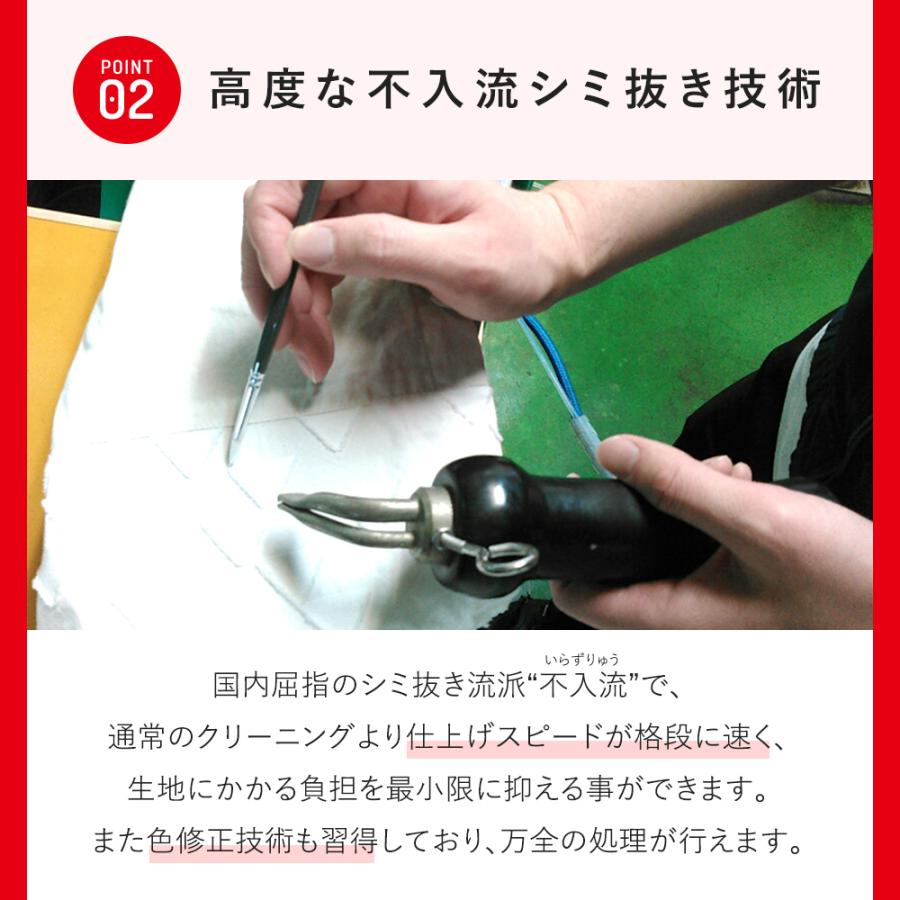 宅配\u0026保管クリーニング 撥水キング 5点セット 衣類 シミ抜き 撥水加工 保管最大10か月 送料無料 ミスター・ランドリーの画像