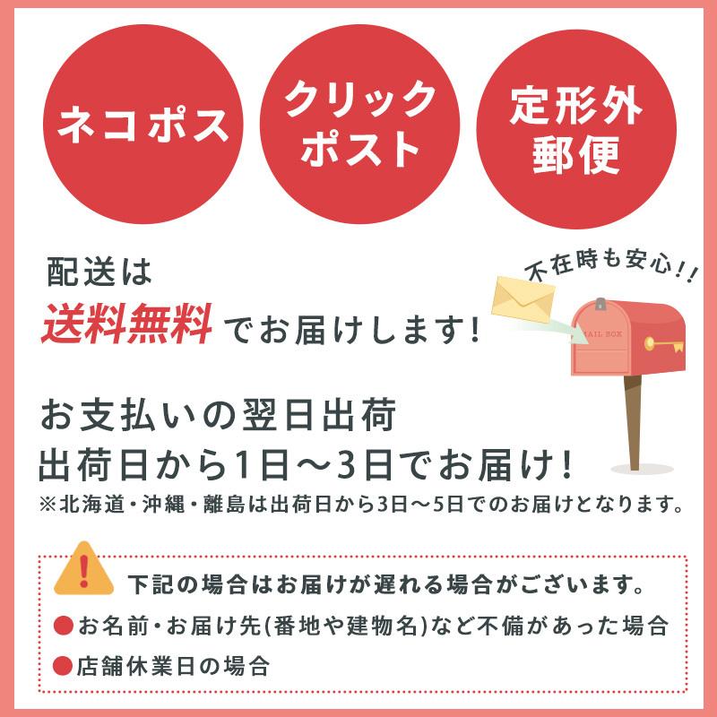 レジャーシート 厚手 100×150 200×200 おしゃれ 大きい コンパクト ピクニックシート アウトドア キャンプ｜mrm-1120｜08