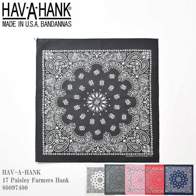 HAV-A-HANK ハバハンク 17 Paisley Farmers Hank 80097400 ペイズリー