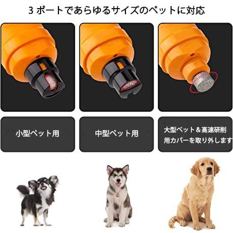 Casfuy犬爪切り電動ー 2つのLEDライト付き - 新バージョン 2スピード
