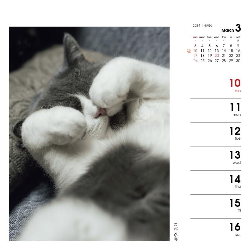 カレンダー2024 週めくりカレンダー なごみ猫（週めくり/卓上・リング） (ヤマケ｜mrnsstore｜08