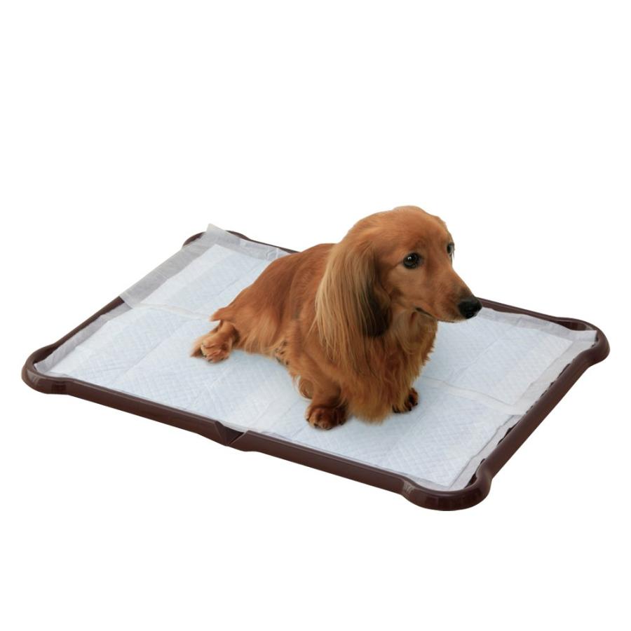 アイリスオーヤマ 犬 トイレ シーツぴたっとトレー ワイド ブラウン P-SPTW（Yahoo!・MRN’s SHOP Yahoo!店）