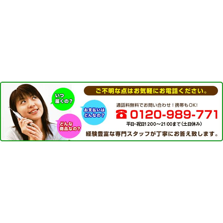 アールシーエス 夢暖望660型 夢暖房 遠赤外線ヒーター パネルヒーター