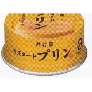 確認用　　　　　　リピーター様大人気!!　井村屋カスタードプリン　12個 51CEAleHdXL._UF350,350_QL50_.jpg