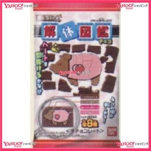 ヤフー店 ナッツ類 Oexバンダイ １個キャラパキ解体図鑑 672個 税 送料無料 沖縄は別途送料 かぼちゃの種 Xr 食品 xr おかしのモリモリ森