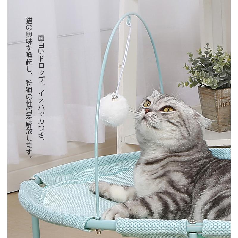夏用 犬ベッド 猫ベッド ペットハンモック 自立式 寝床 ネコベッド 猫用品 ねこ いぬ ペット用 丸洗い 安定な構造 取り外し可能 通気性抜群 D02 Jane Errin 通販 Yahoo ショッピング