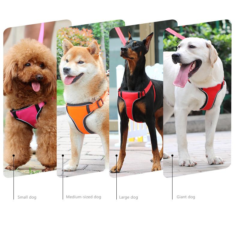 ふるさと割 胴輪 ハーネス ペット用 犬用 小型犬 中型犬 大型犬 お散歩グッズ おさんぽ バックル 単色 首輪 かっこいい お出かけ 介護用 可愛い かわいい 無地 送料無料 Teaandtwigs De