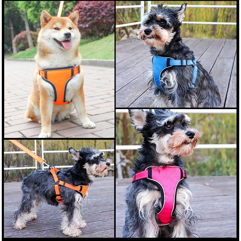ふるさと割 胴輪 ハーネス ペット用 犬用 小型犬 中型犬 大型犬 お散歩グッズ おさんぽ バックル 単色 首輪 かっこいい お出かけ 介護用 可愛い かわいい 無地 送料無料 Teaandtwigs De