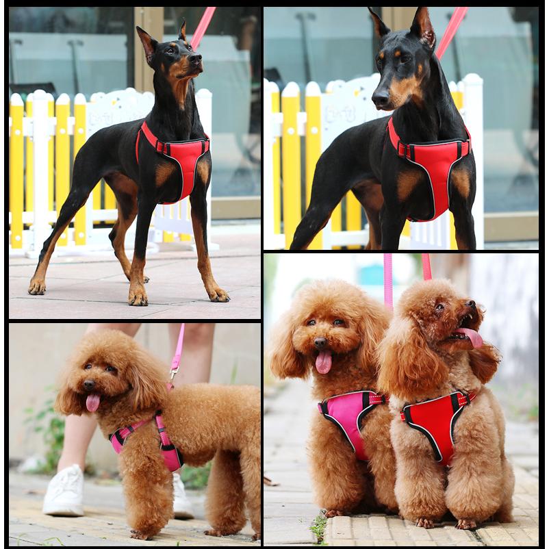 ふるさと割 胴輪 ハーネス ペット用 犬用 小型犬 中型犬 大型犬 お散歩グッズ おさんぽ バックル 単色 首輪 かっこいい お出かけ 介護用 可愛い かわいい 無地 送料無料 Teaandtwigs De