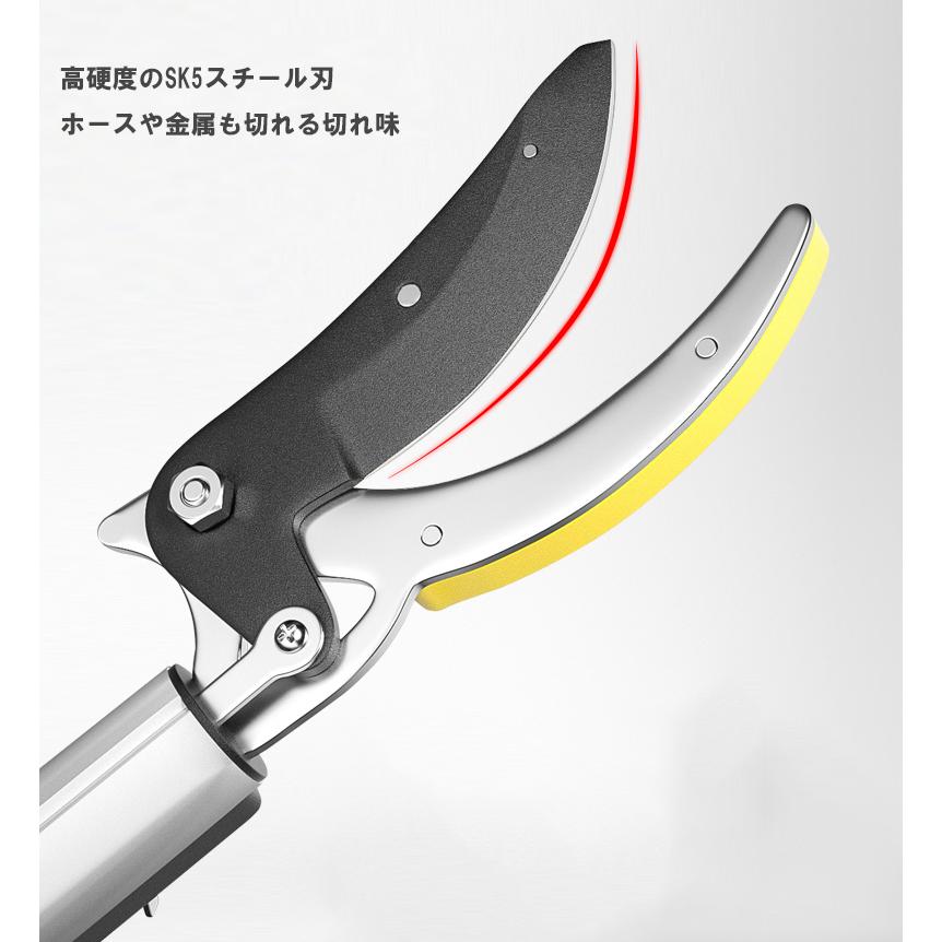 高枝切りバサミ 剪定鋏 伸縮 高枝 高枝切狭 枝きりばさみ たかえだきりはさみ のこぎり はさみ 剪定 高枝切り 送料無料 大進 イージーカット 3m 高枝切鋏 枝切 ハサミ 軽量 お手軽 女性 庭 軽い 高枝切りのこぎり 全国一律送料無料 高枝切りバサミ 剪定鋏 伸縮 高枝 高枝切狭 枝きりばさみ たかえだきりはさみ のこぎり はさみ 剪定 高枝切り 送料無料 大進 イージーカット 3m 高枝切鋏 枝切 ハサミ 軽量 お手軽 女性 庭 軽い 高枝切りのこぎり 全国一律送料無料
