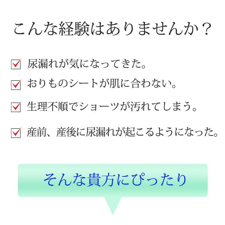 失禁ショーツ 女性用 尿漏れパンツ 吸水 防水 失禁パンツ 5cc おしゃれ かわいい 締め付けない 産褥 産後 おりもの サニタリー 羽根つき S M L Ll R190 1 S 老舗布屋の肌着店ミセスエール 通販 Yahoo ショッピング