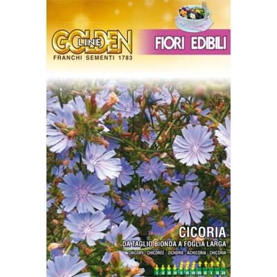 【イタリアの花の種】FRANCHI社(GL)エディブルフラワー・チコリー-BIONDA A FOGLIE 《固定種》[GL花40/25]｜mrsliving