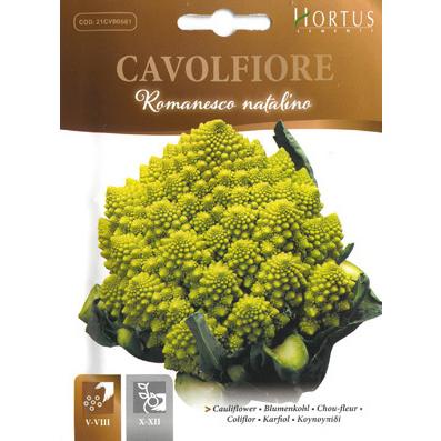 イタリアの野菜の種 カリフラワー ロマネスコ 黄緑サンゴ Bsocvf014 ロマネスコナタリー 210日 中晩生 果重1 1 1 2kg 固定種 Hortus社 Bsocvf014 ミセスリビング 通販 Yahoo ショッピング