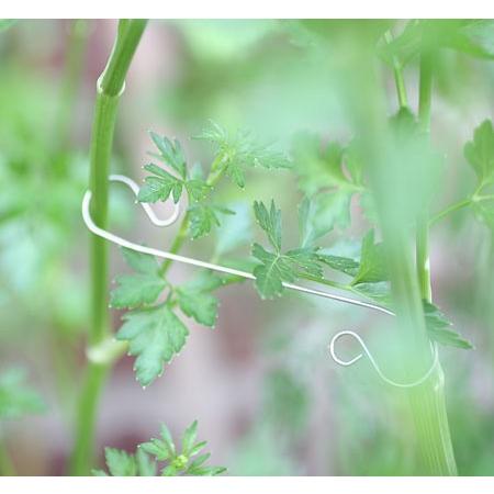 ローズフック ◇9cm◇ 16ヶ入り RF-90 かんたん誘引材 ベルツモア