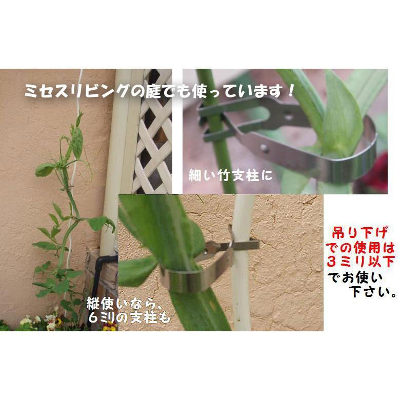 誘引クリップ 茎に優しい R型（サイズ：12㎜）2,000個 【公式通販】