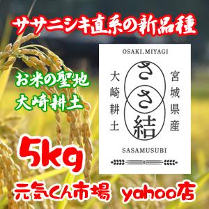 新米 ささ結 5Kg 令和6年産 宮城県産 新品種 特別栽培米（減農薬・減 
