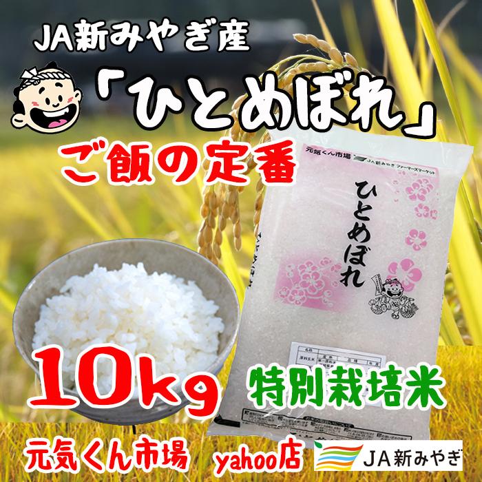 ひとめぼれ 令和6年産 通販 宮城県産 10Kg 特別栽培米（減農薬・減