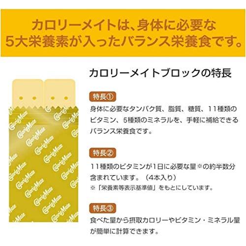 大塚製薬 カロリーメイト ブロック チョコレート 4本×30個｜ms-niseko｜03