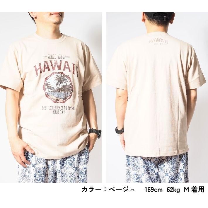 洋楽 HAWAII アメカジブランド,サンサーフ,2024SS | ろーぐす オンラインショップ