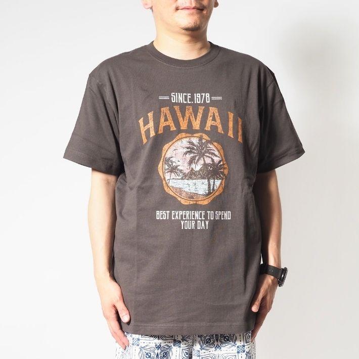 洋楽 HAWAII HiLife ハイライフ ハワイアン ブランド メンズ Tシャツ – ページ 2