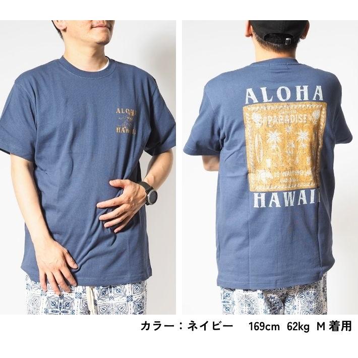 Hula Lani（フララニ） Hulalani Hawaii ハワイ Tシャツ 半袖 ボックス
