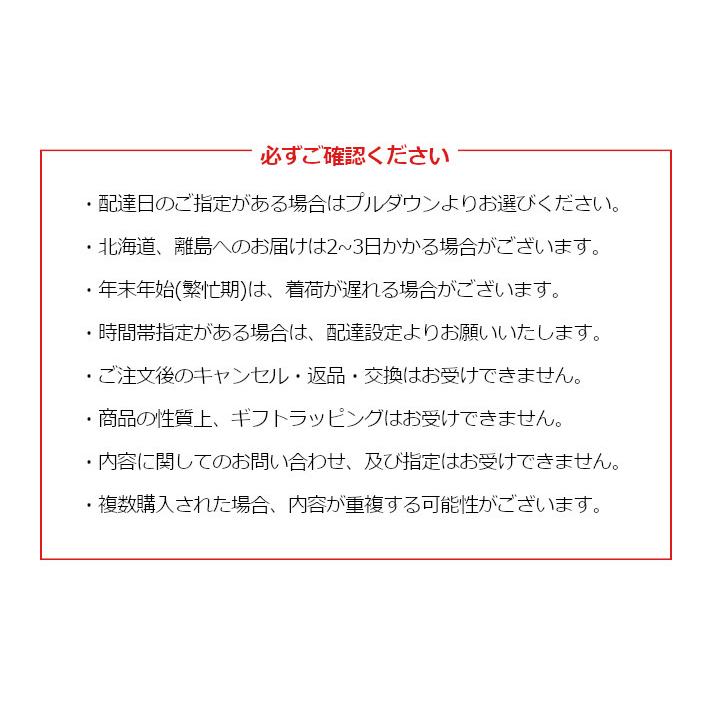 予約販売 AVIREX アビレックス 福袋 2025 1月1日以降お届け 新春 HAPPY BAG 限定 数量限定 メンズファッション ブランド