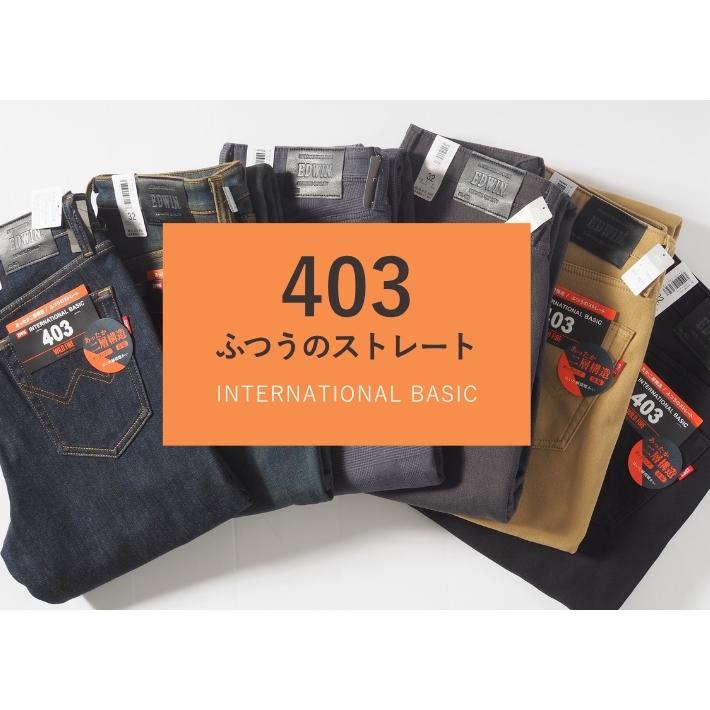 INTERNATIONAL BASIC セール 大きいサイズ エドウィン 403 暖パン 裏