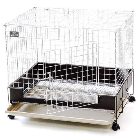 コンフォート60 チンチラスペシャル チンチラスペシャル