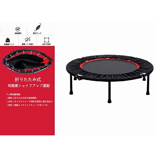 SUNSHINF トランポリン折りたたみ式で フィットネストランポリン 8本脚 大型 120cm 収納便利 静音の設計 ジム 家庭 SUNSHINF