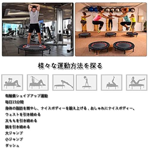 SUNSHINF トランポリン折りたたみ式で フィットネストランポリン 8本脚 大型 120cm 収納便利 静音の設計 ジム 家庭 SUNSHINF