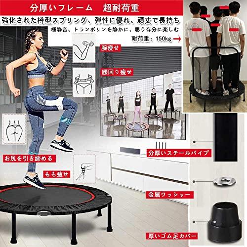 SUNSHINF トランポリン折りたたみ式で フィットネストランポリン 8本脚 大型 120cm 収納便利 静音の設計 ジム 家庭 SUNSHINF