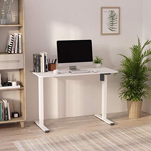 FLEXISPOT 電動式スタンディングデスク(幅120×奥行60) 昇降デスク 高さ