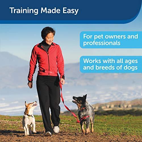 25【新品未使用】 Treat & Train Remote Reward Dog Trainer 並行輸入 【DGJ7418480383】(26556円)