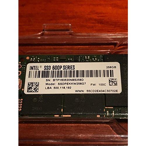 statisk Middelhavet Bliv forvirret 正規代理店に輸入 インテル SSD 600pシリーズ 256GB M.2 PCIEx4 並行輸入 news.rpa.cat