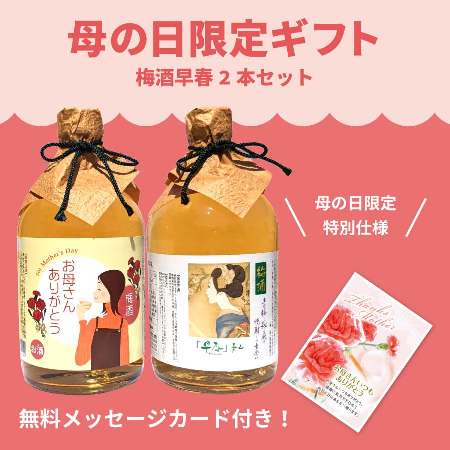 母の日 梅酒 プレゼント ギフト 梅酒早春二本セット メッセージカード付き 送料込み 送料無料 【梅酒/岡山県/宮下酒造】 誕生日 | 宮下酒造 | 01