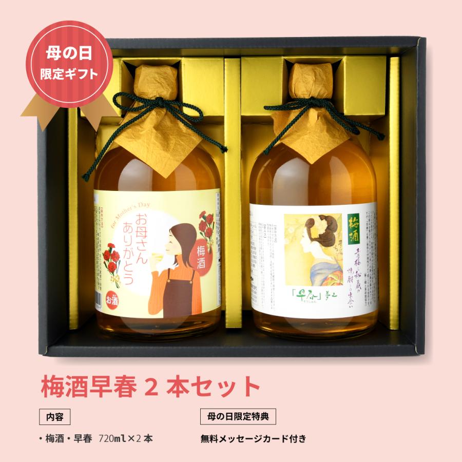 母の日 梅酒 プレゼント ギフト 梅酒早春二本セット メッセージカード付き 送料込み 送料無料 【梅酒/岡山県/宮下酒造】 誕生日 | 宮下酒造 | 02