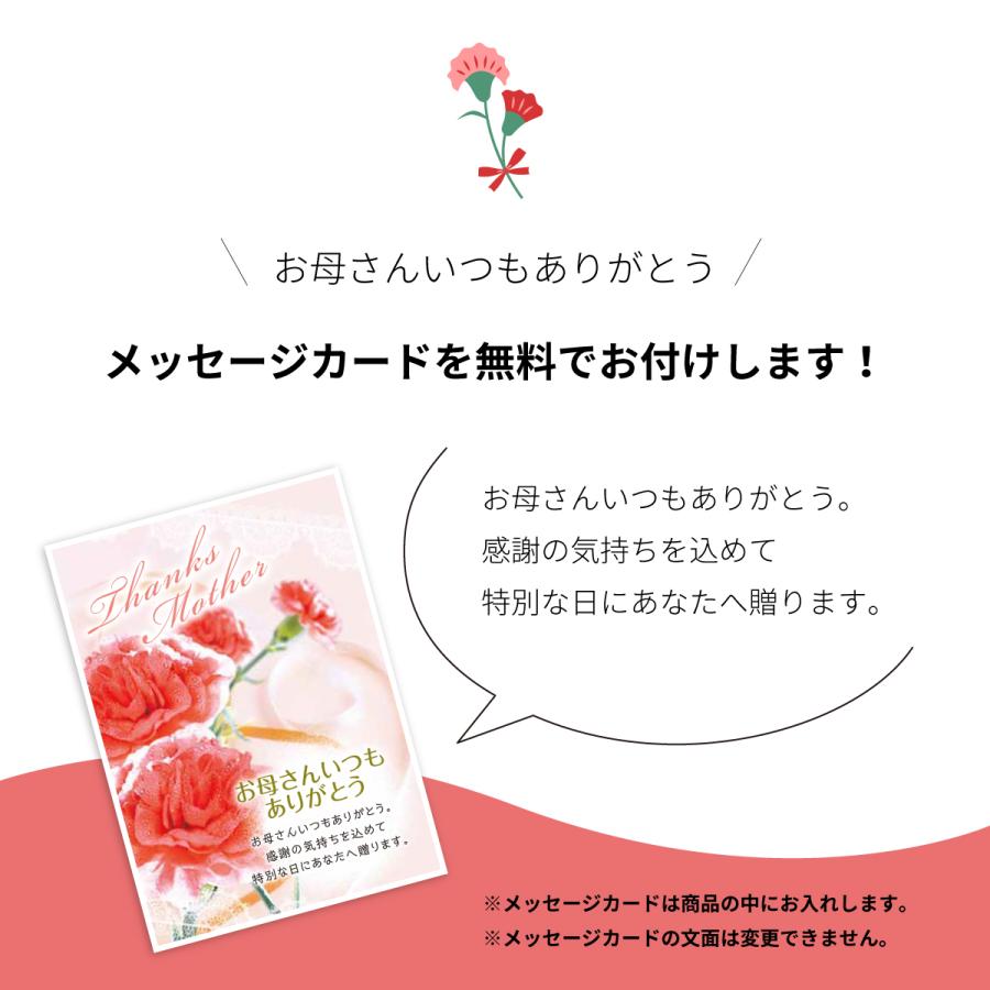 母の日 梅酒 プレゼント ギフト 梅酒早春二本セット メッセージカード付き 送料込み 送料無料 【梅酒/岡山県/宮下酒造】 誕生日 | 宮下酒造 | 03