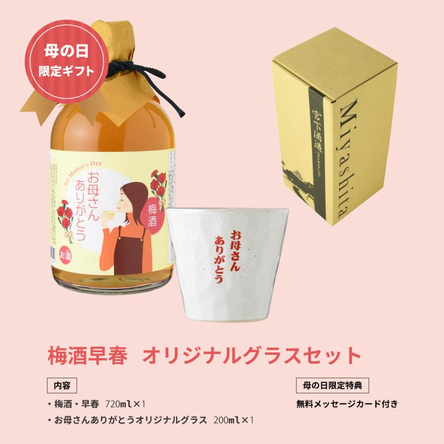 誕生日 梅酒 プレゼント ギフト 梅酒早春・オリジナルグラスセット メッセージカード付き 送料無料 【梅酒/岡山県/宮下酒造】 母の日 | 宮下酒造 | 02