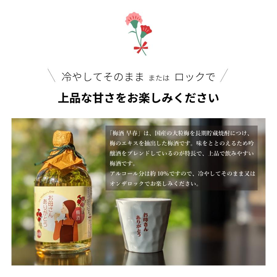 誕生日 梅酒 プレゼント ギフト 梅酒早春・オリジナルグラスセット メッセージカード付き 送料無料 【梅酒/岡山県/宮下酒造】 母の日 | 宮下酒造 | 05