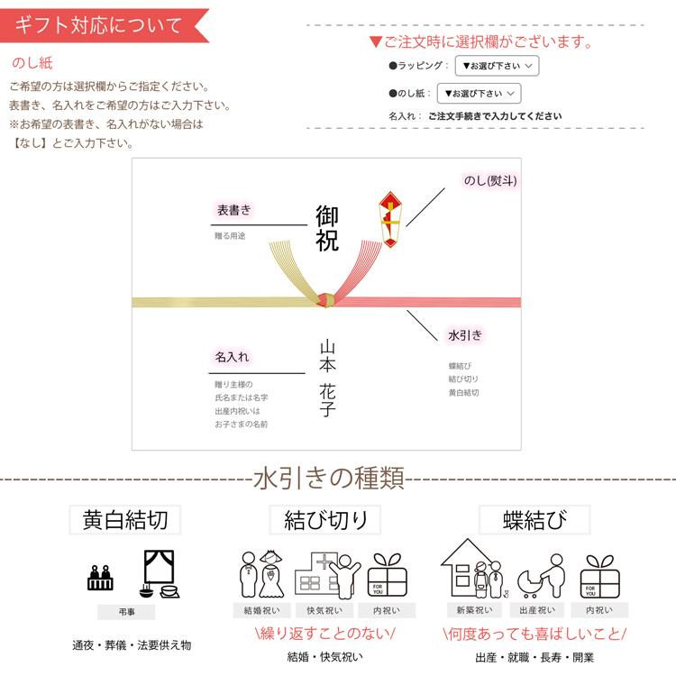 ラルフローレン フェイスタオル セット まとめ買い 薄手 男性 ブランド ギフト 父の日 2024｜msbm｜06