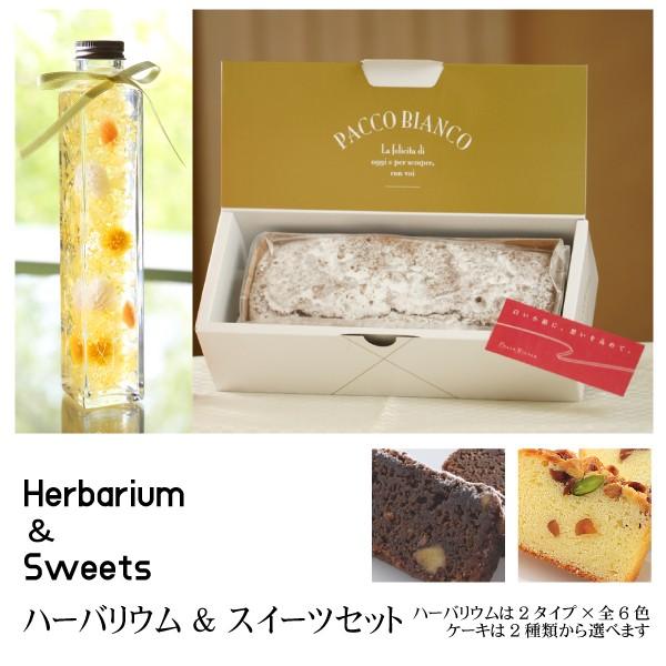 スイーツ＆ハーバリウムセット【イエロー】ハーバリウムとパウンドケーキ 全6 色12種 パウンドケーキは2種から選べる お菓子とお花 プレゼント 贈り物