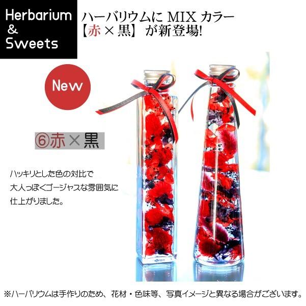 スイーツ＆ハーバリウムセット【イエロー】ハーバリウムとパウンドケーキ 全6 色12種 パウンドケーキは2種から選べる お菓子とお花 プレゼント 贈り物