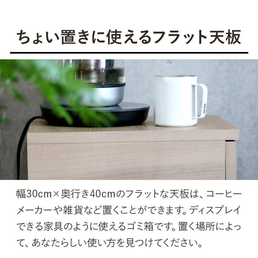 ゴミ箱に見えないダストボックス 増田桐箱店 大川家具 45L 選べる