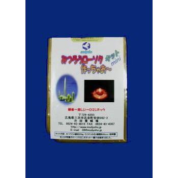 みつろうローソクつくっちゃお〜キットミニ | 