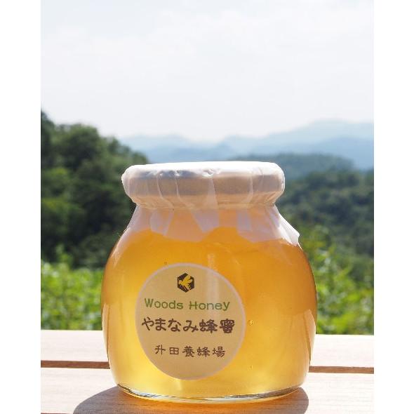 やまなみ蜂蜜220ｇ | 
