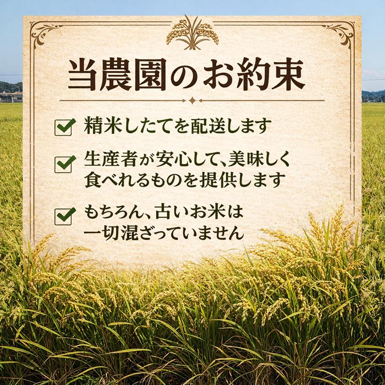 きぬむすめ 20kg 令和8年度 農家直送 お米（精米後、18kg程度となり