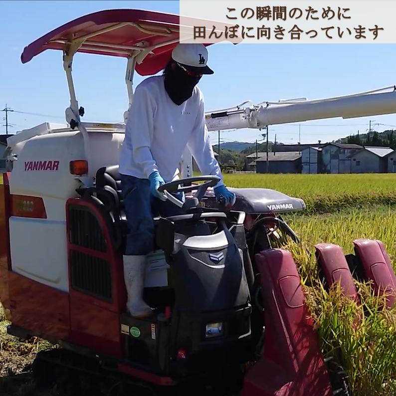 きぬむすめ 20kg 令和8年度 農家直送 お米（精米後、18kg程度となり
